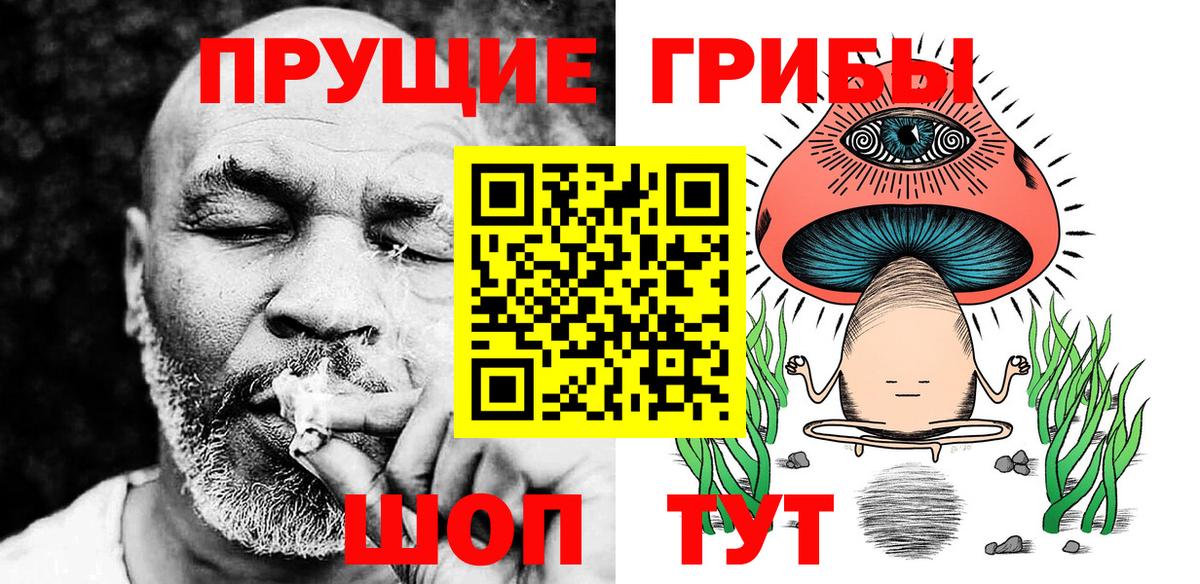 Галлюциногенные грибы GOLDEN TEACHER Зеленогорск